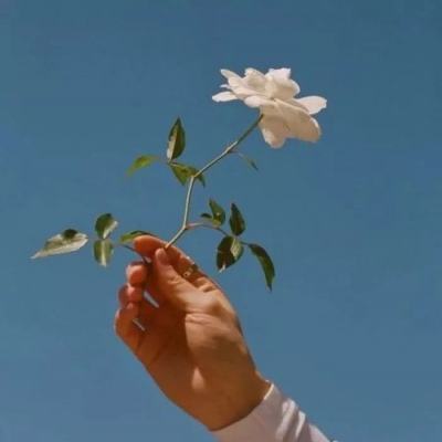 航海传奇游戏下载